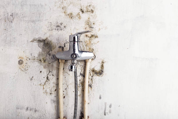  Upper Montclair, NJ Mold Removal Pros