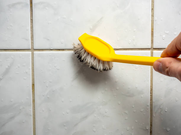 Best Mold Removal and Inspection  in Upper Montclair, NJ