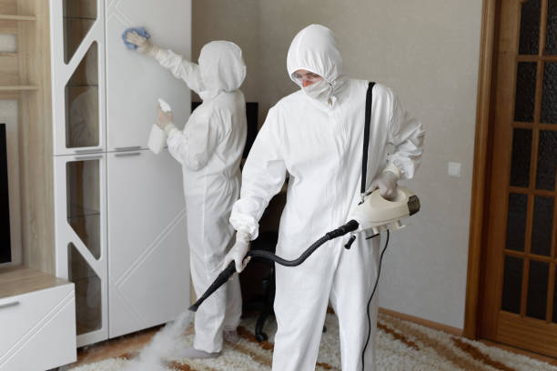 Best Crawl Space Mold Removal  in Upper Montclair, NJ