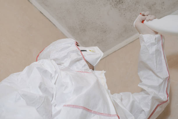 Best Same-Day Mold Removal  in Upper Montclair, NJ