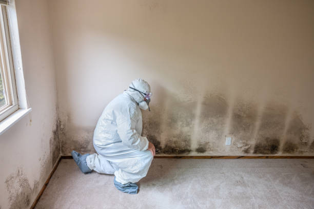 Best Mold Testing  in Upper Montclair, NJ
