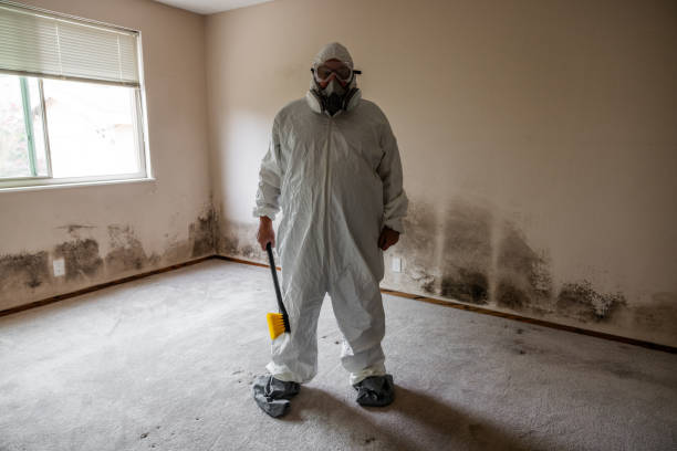 Best Emergency Mold Removal  in Upper Montclair, NJ